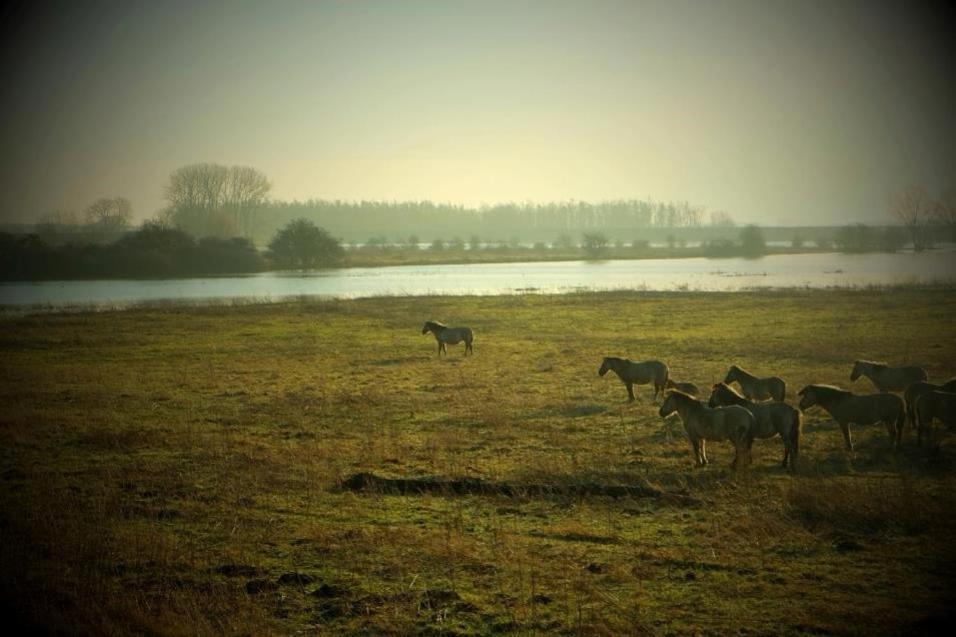 Roosje Van Ooy Ooij Exteriör bild