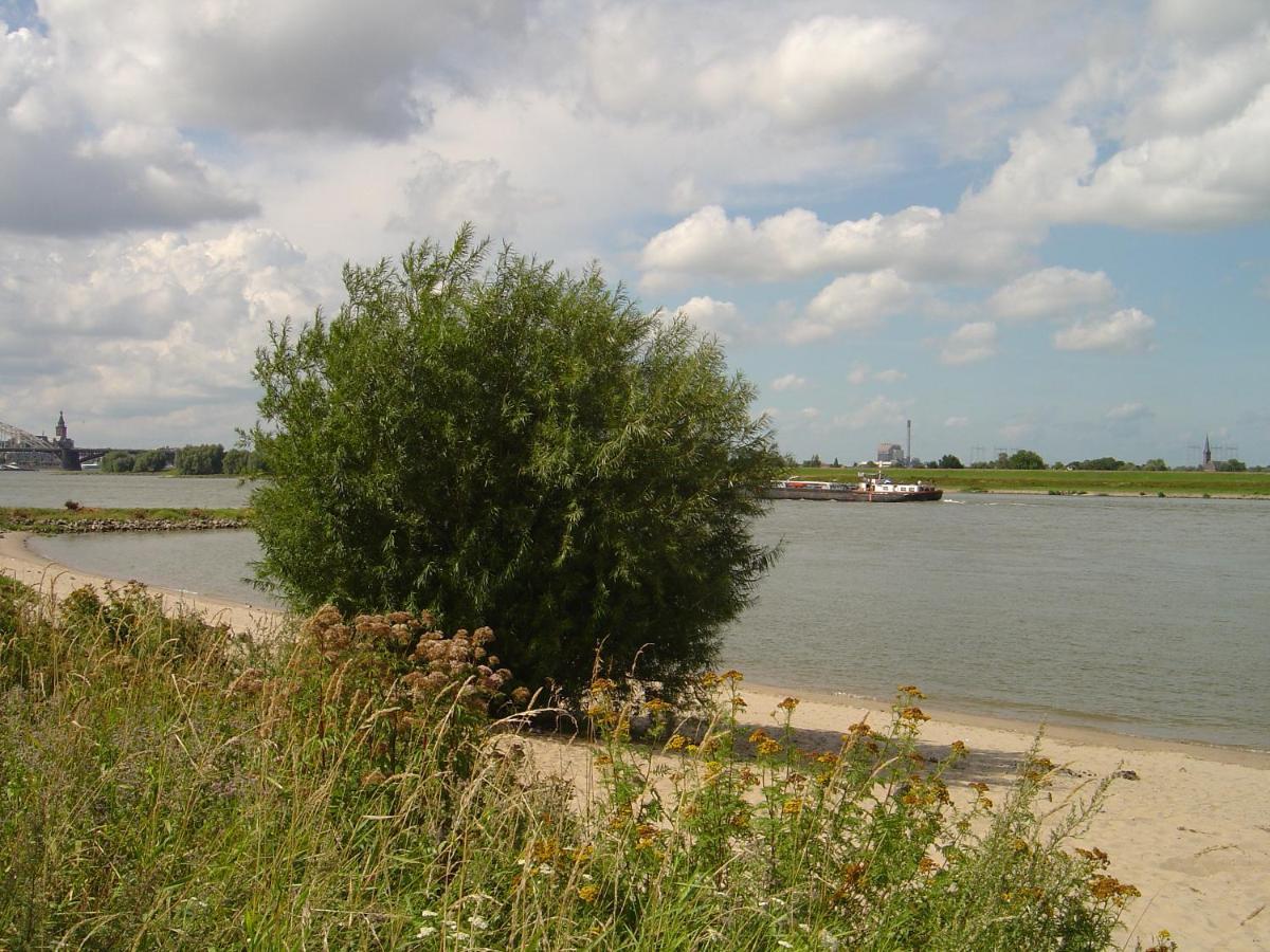 Roosje Van Ooy Ooij Exteriör bild